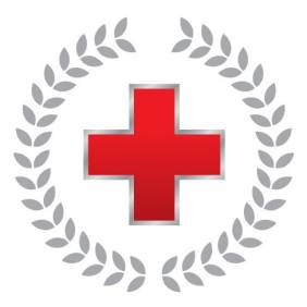 Red Cross President's Council pin