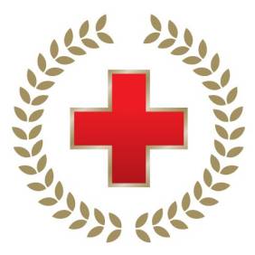 Red Cross Chairman's Council pin