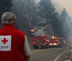 volunteer watching fire fighters fight wildfire